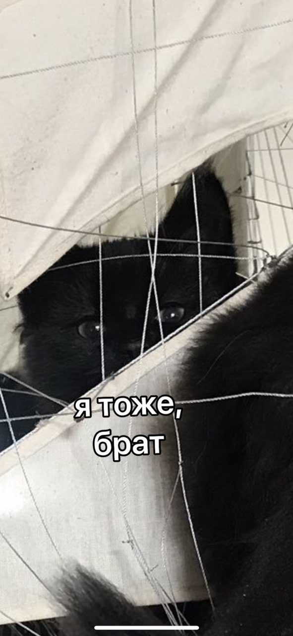 же брат