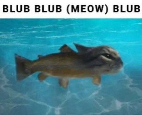 BLUB BLUB (MEOW) BLUB