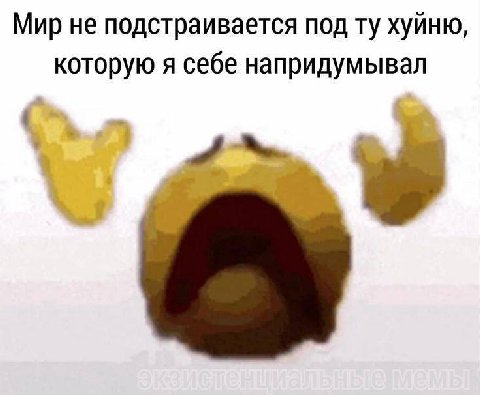 Мир не подстраивается под хуйню, которую я себе напридумывал