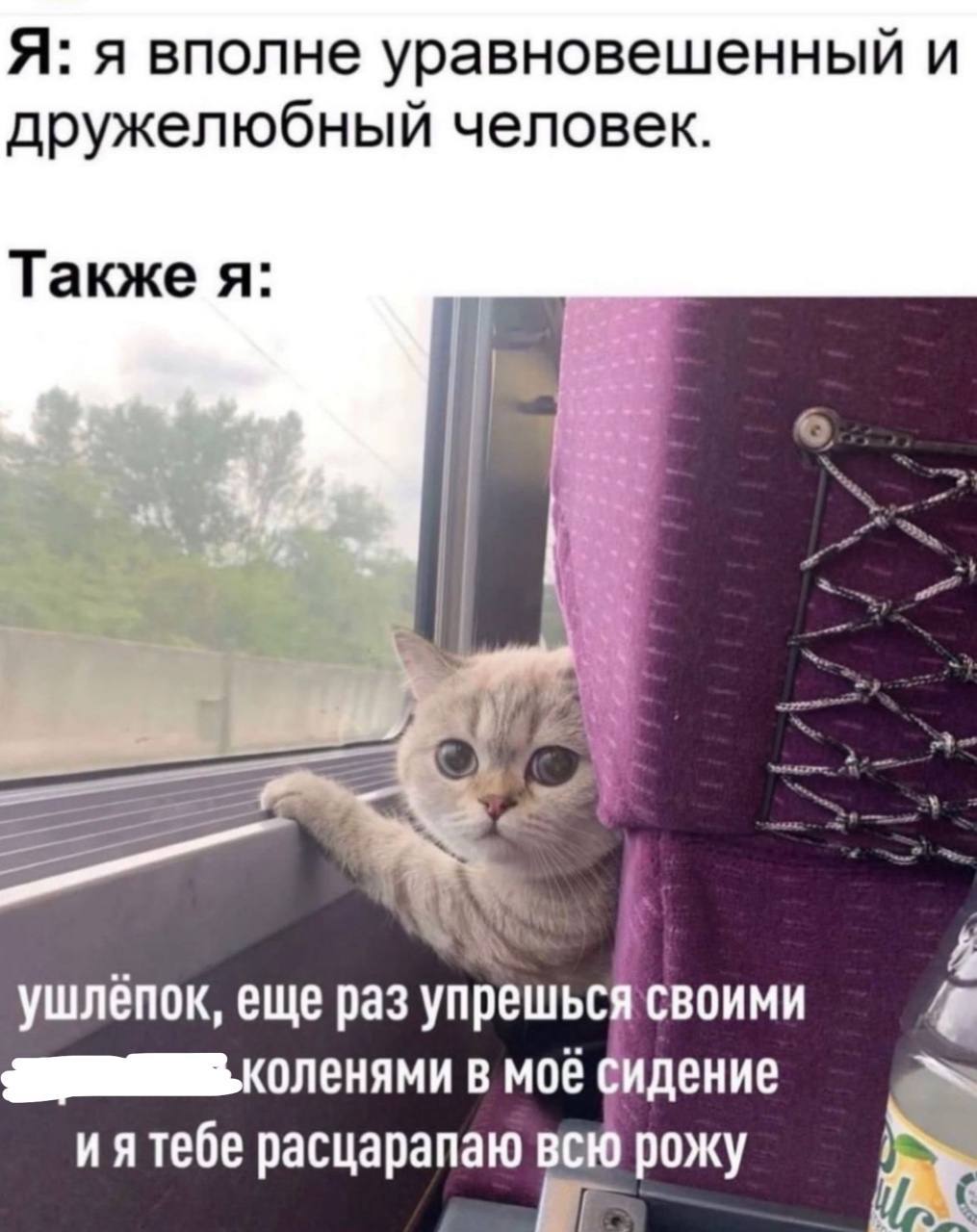 Я: я вполне уравновешенный и дружелюбный человек. Также я: i ушлёпок, еще раз упрешься своими 4 коленями в моё сидение иятебе расцарапаю всю рожу is