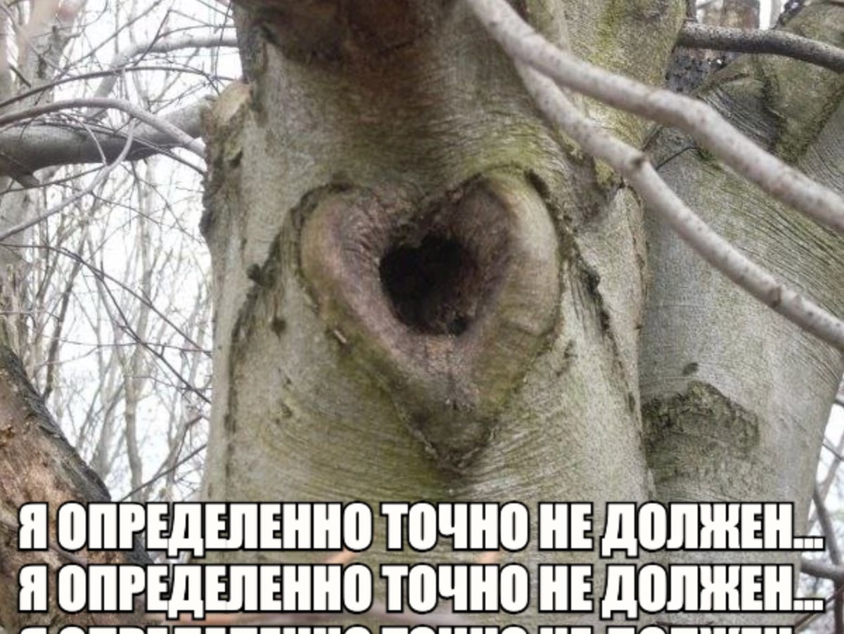 Я Я ОПРЕДЕЛЕННО ТОЧНО НЕ Я ОПРЕДЕЛЕННО ТОЧНО НЕ