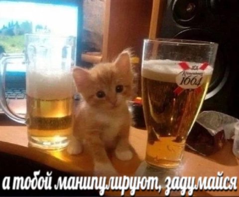 а тобой манилулируют,