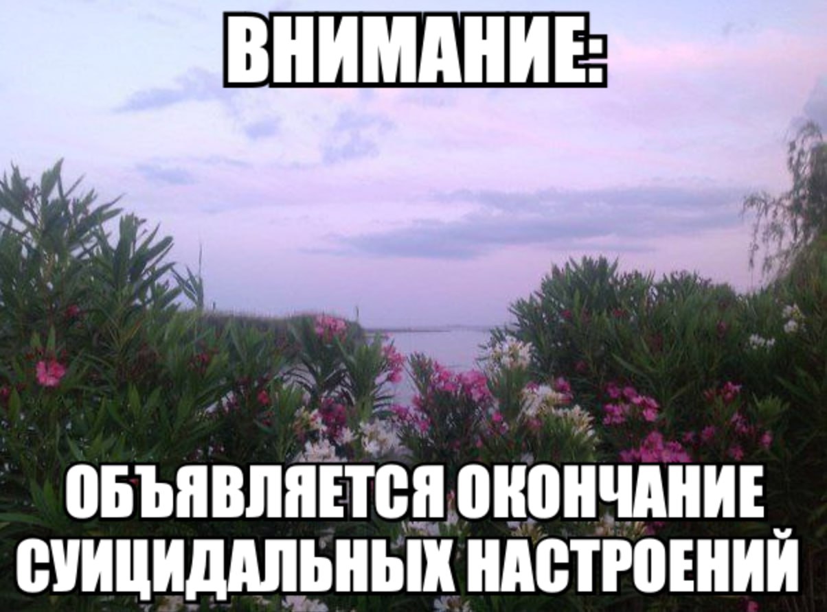 My, A 4 42 к 4, 77 4 ОБЪЯВЛЯЕТСЯ ОКОНЧАНИЕ СУИЦИДАЛЬНЫХ НАСТРОЕНИЙ