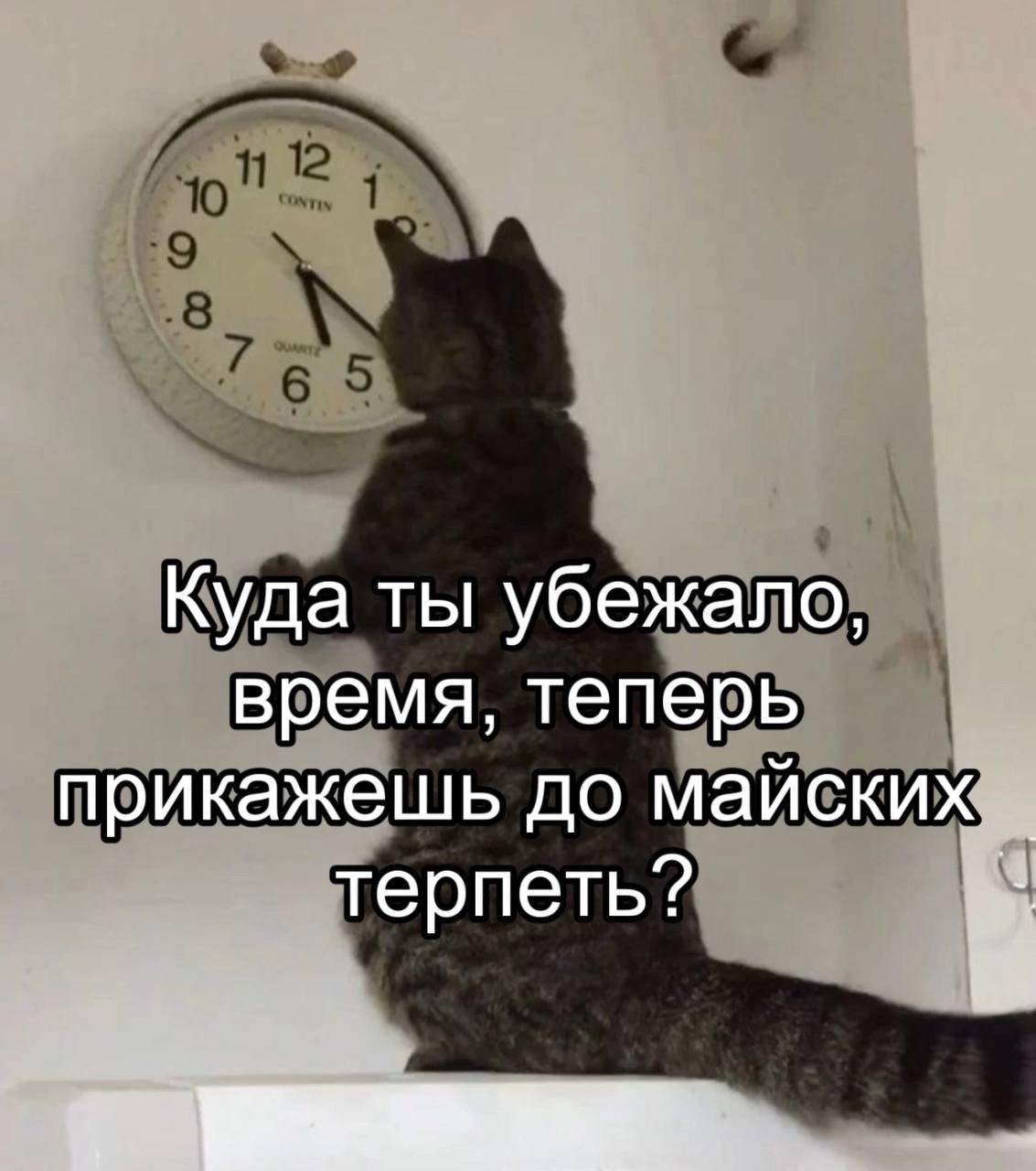 Куда ты убежало, время, теперь прикажешь до майских терпеть?