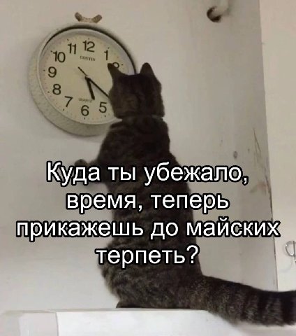 Куда ты убежало, время, теперь прикажешь до майских терпеть?