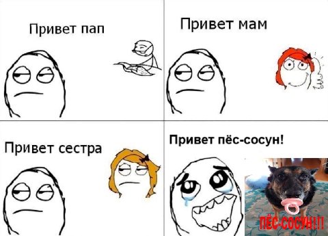 Привет пап Привет мам бус Привет сестра Привет пёс-сосун! У