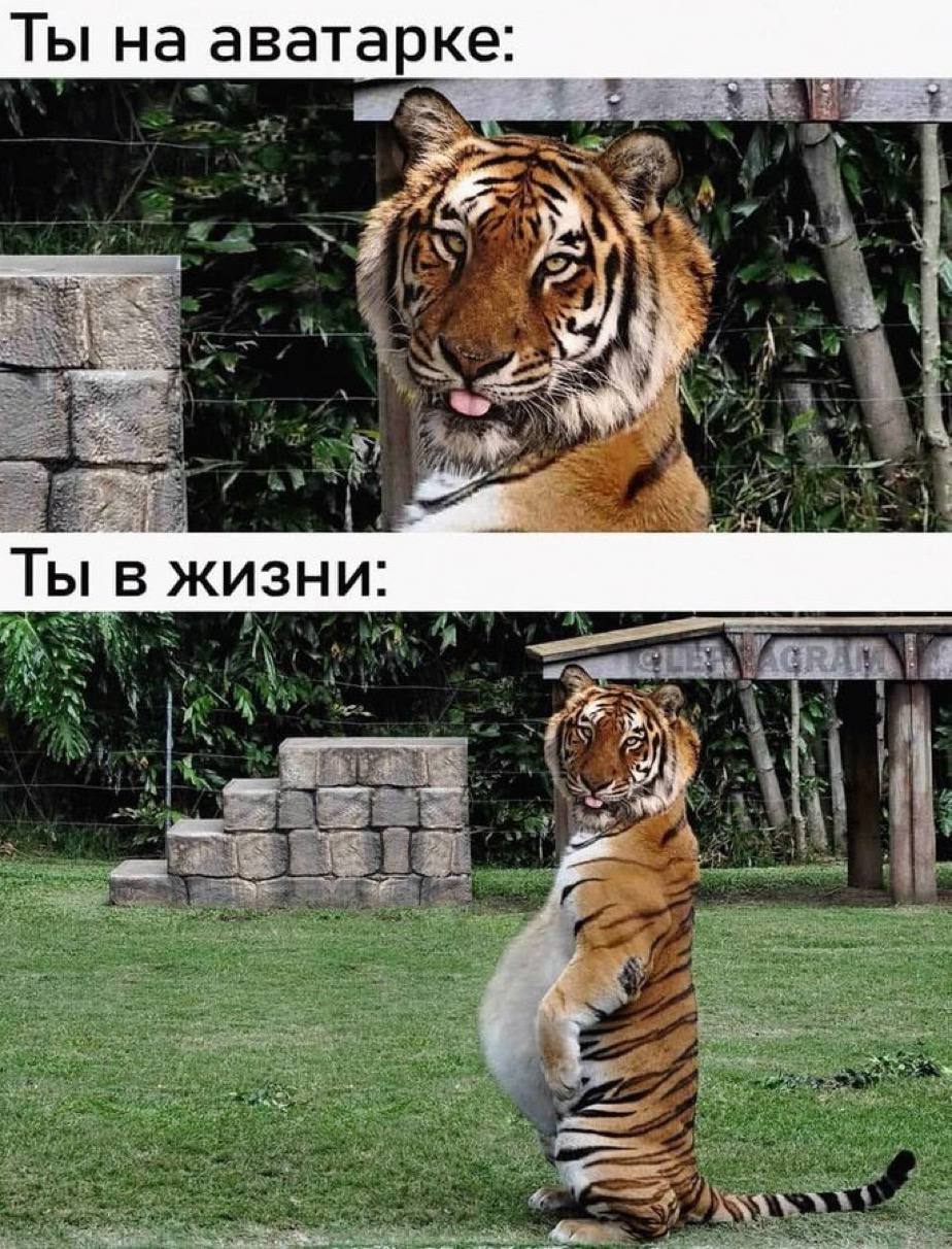 Ты на аватарке: Ты в жизни: