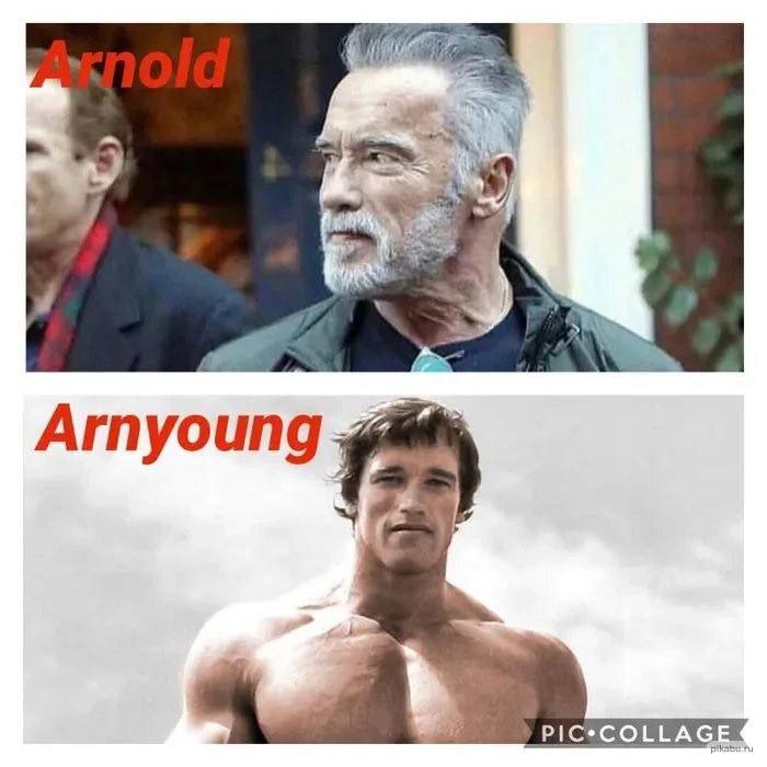 у Arnyoung