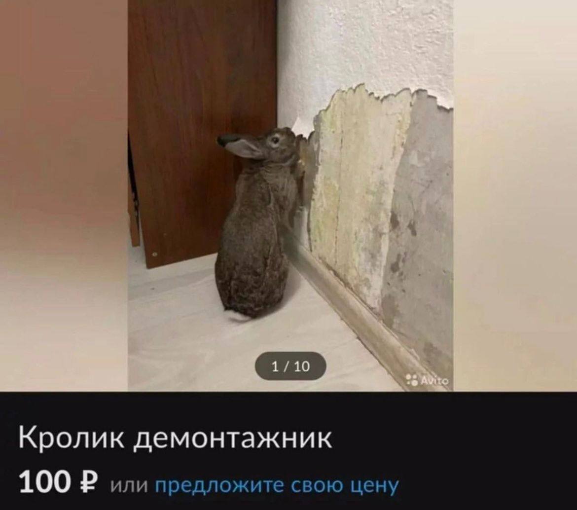 Кролик демонтажник 100 или предложите свою цену