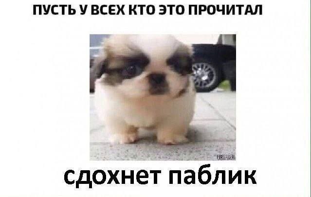 ПУСТЬ У ВСЕХ КТО ЭТО ПРОЧИТАЛ сдохнет паблик