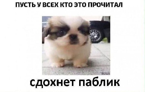 ПУСТЬ У ВСЕХ КТО ЭТО ПРОЧИТАЛ сдохнет паблик