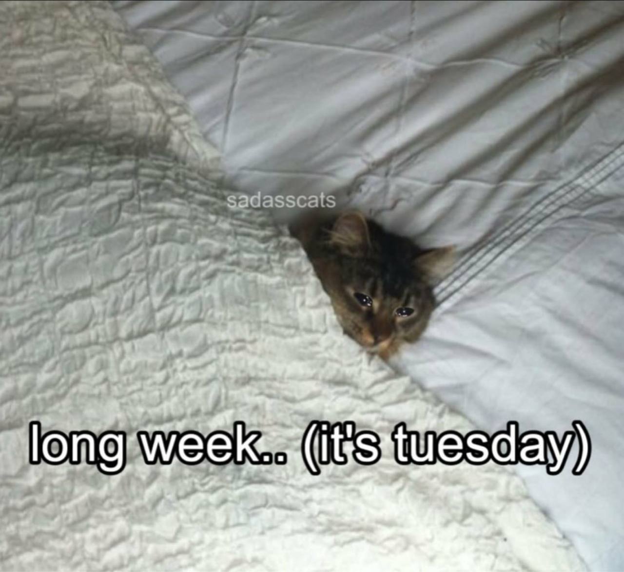 long at