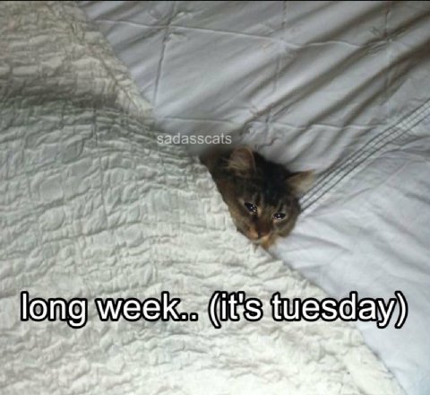 long at
