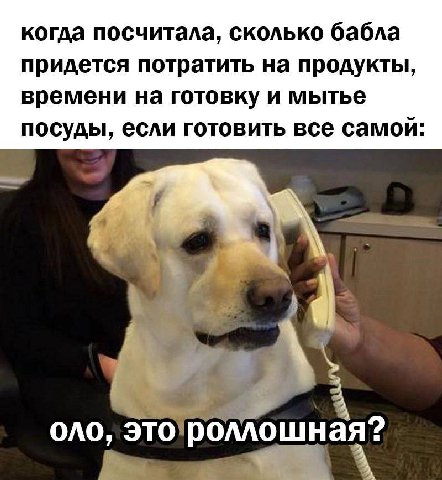 когда посчитала, сколько бабла придется потратить на продукты, времени на готовку и мытье посуды, если готовить все OAO, A? роллошна