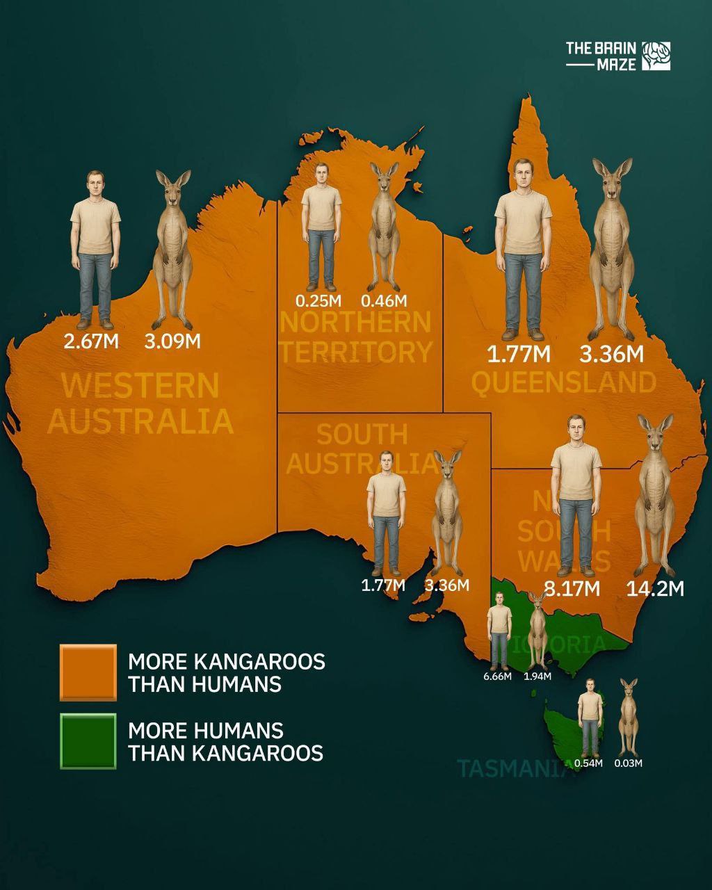 THE BRAIN MAZE 4, 4. MORE KANGAROOS THAN HUMANS MORE HUMANS THAN KANGAROOS