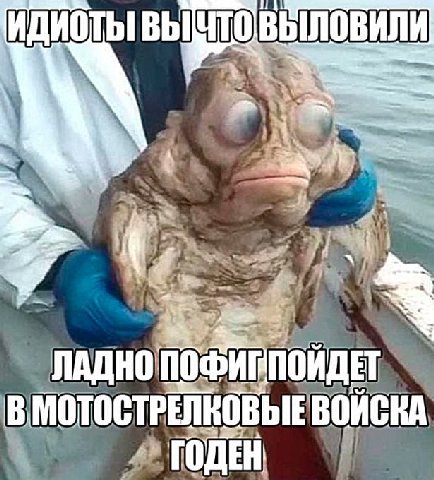 4 ВОЙСКА,