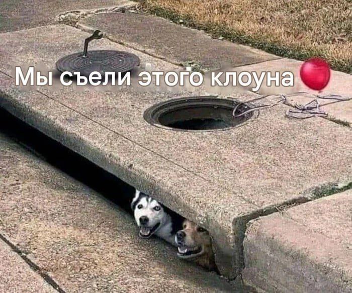 Мы съели этого. клбун on 4 14 aay aN bee ait 4 i