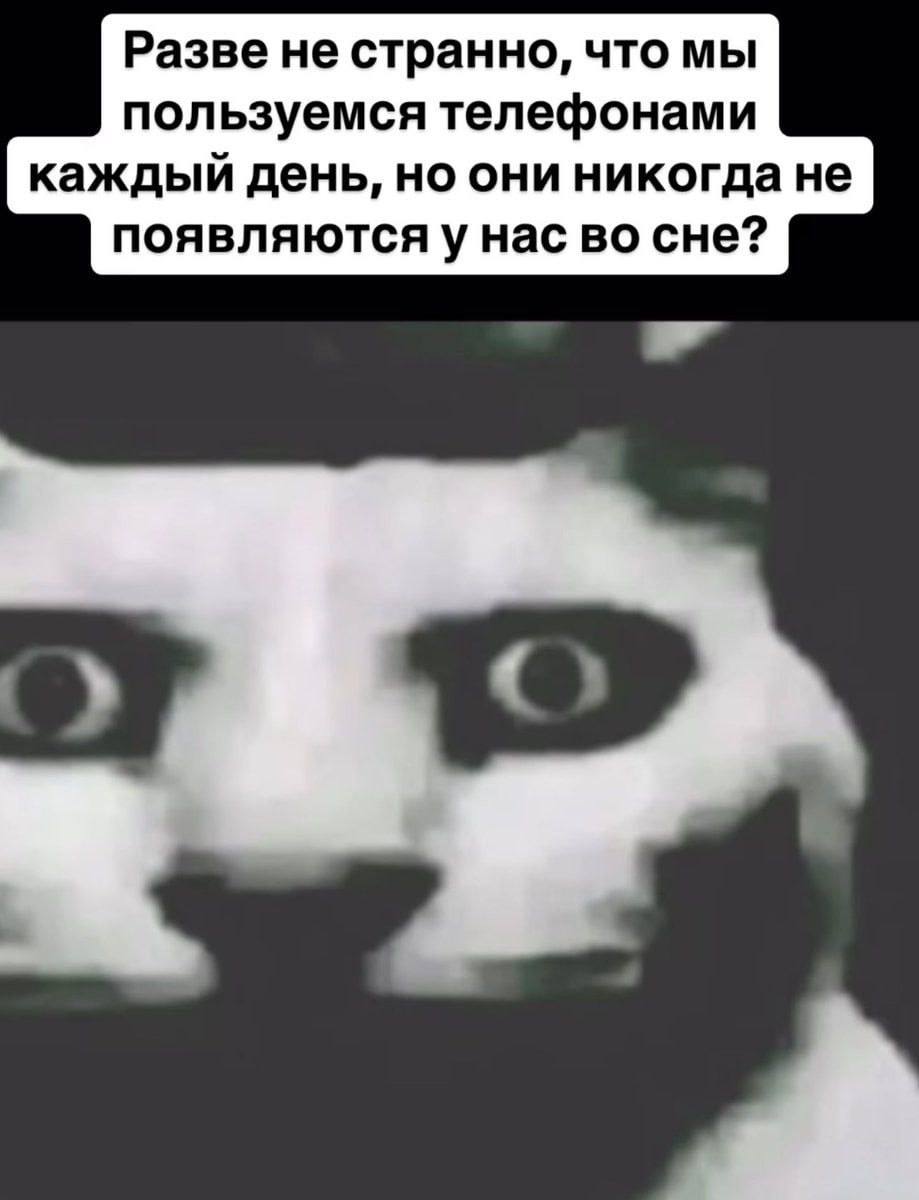 Разве не странно, что мы пользуемся телефонами каждый день, но они никогда не появляютсяу нас во сне?