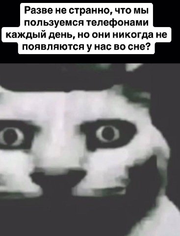 Разве не странно, что мы пользуемся телефонами каждый день, но они никогда не появляютсяу нас во сне?
