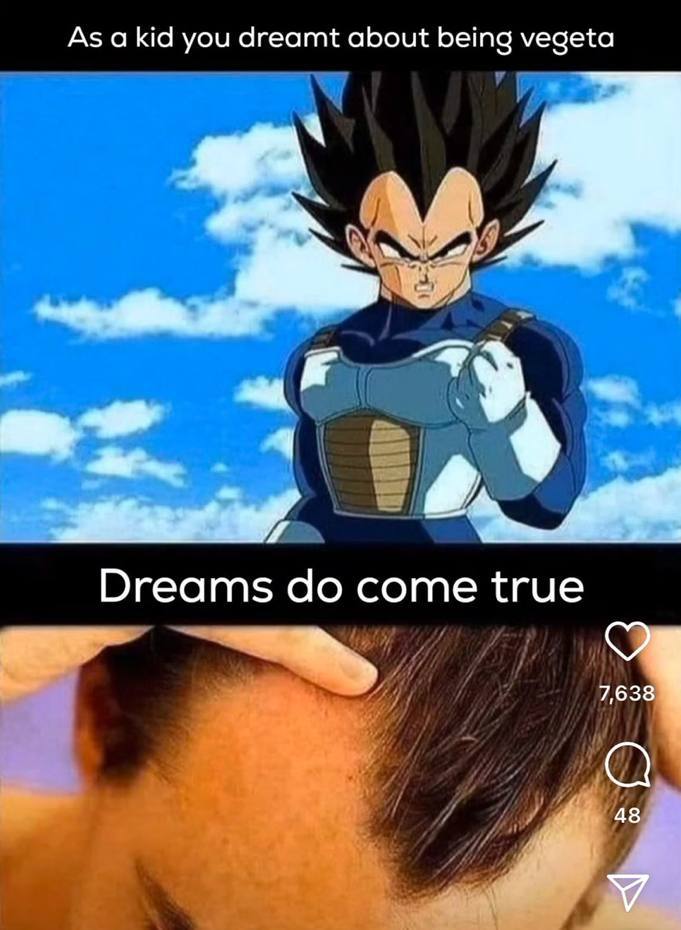 Аза К you dreamt about being vegeta Dreams come true 7,638 48 У