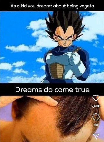Аза К you dreamt about being vegeta Dreams come true 7,638 48 У