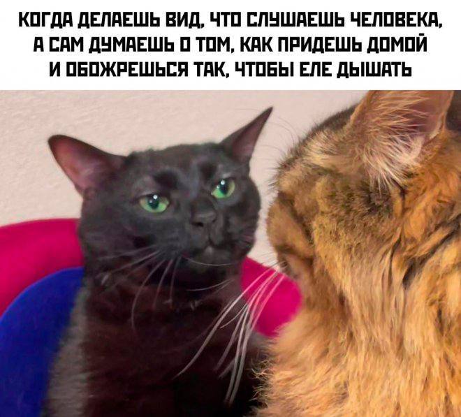 КОГДА ДЕЛАЕШЬ ВИД, ЧТО СЛУШАЕШЬ ЧЕЛОВЕКА, АСАМ ДУМАЕШЬ 0 ТОМ, КАК ПРИДЕШЬ ДОМОИ И ОБОЖРЕШЬСЯ ТАК, ЧТОБЫ ЕЛЕ ДЫШАТЬ Я 7 4