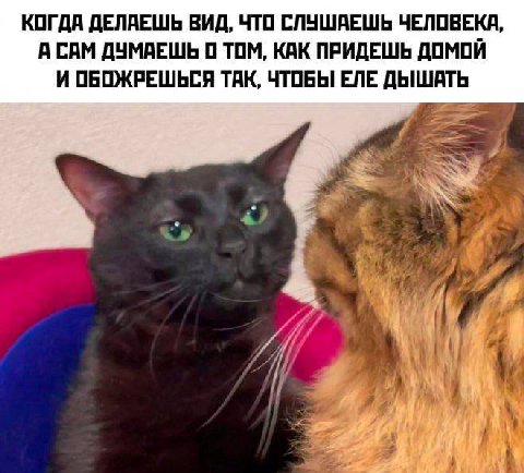 КОГДА ДЕЛАЕШЬ ВИД, ЧТО СЛУШАЕШЬ ЧЕЛОВЕКА, АСАМ ДУМАЕШЬ 0 ТОМ, КАК ПРИДЕШЬ ДОМОИ И ОБОЖРЕШЬСЯ ТАК, ЧТОБЫ ЕЛЕ ДЫШАТЬ Я 7 4