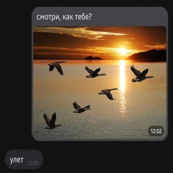 смотри, как тебе? 12:02 улет