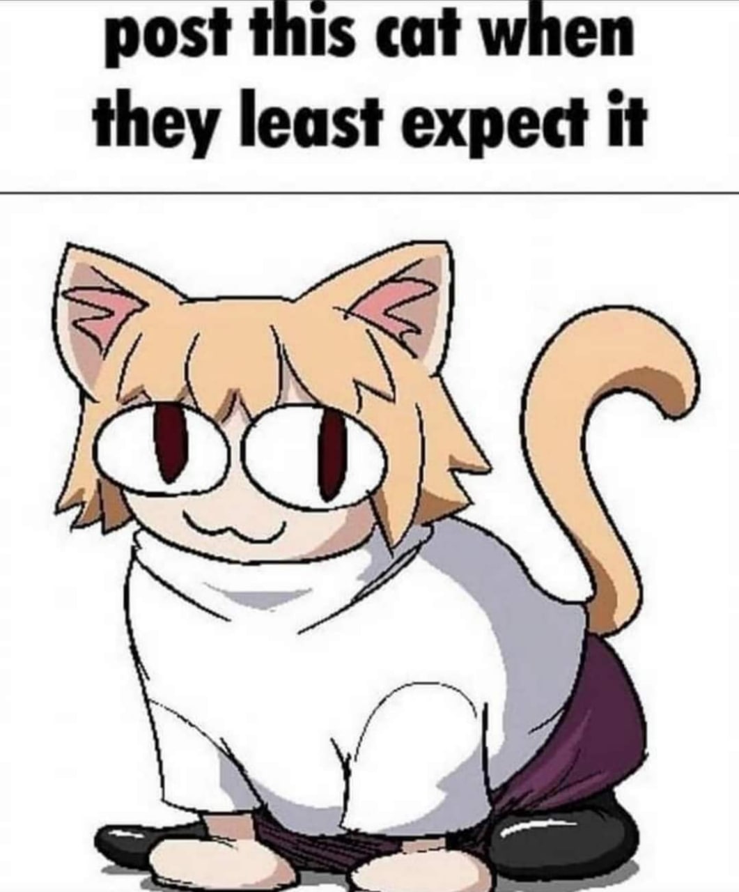 post this cat when they least expect it