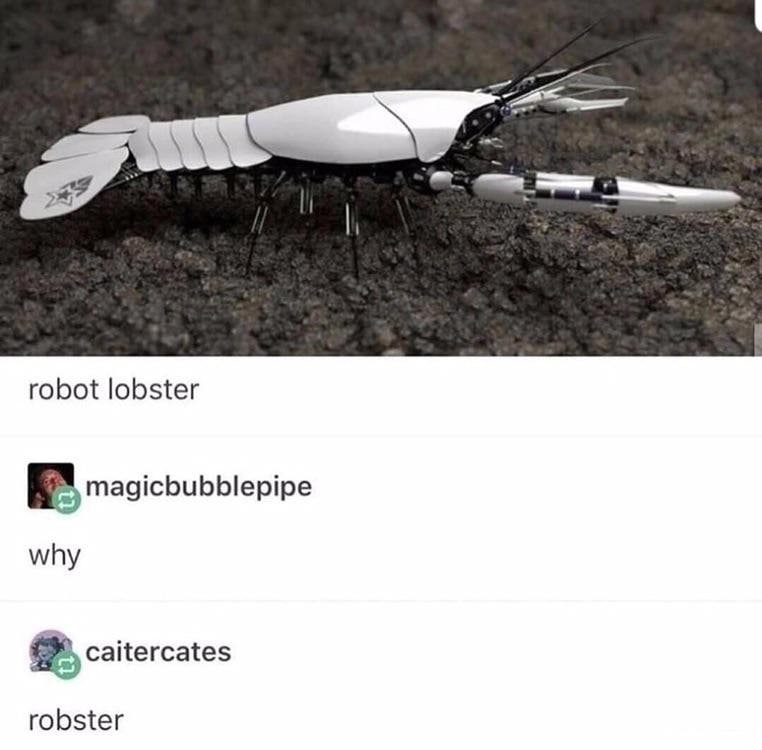 robot lobster magicbubblepipe why caitercates robster