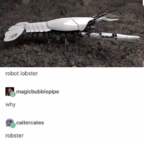 robot lobster magicbubblepipe why caitercates robster