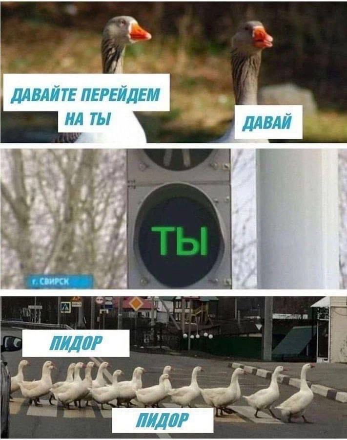 ДАВАЙТЕ ПЕРЕЙДЕМ НА ТЫ ДАВАЙ у 4 78 ПИДОР 4 ПИДОР