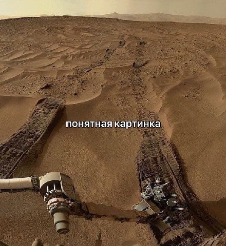 только сег