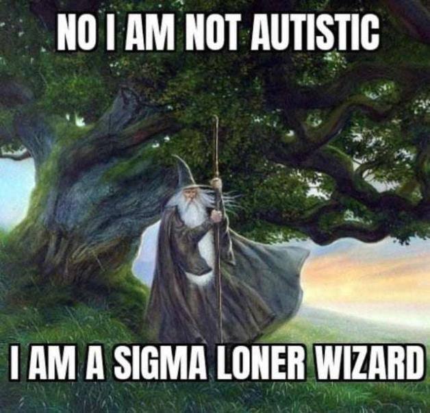 _НОТАМ NOT AUTISTIC a A SIGMA LONER WIZARD