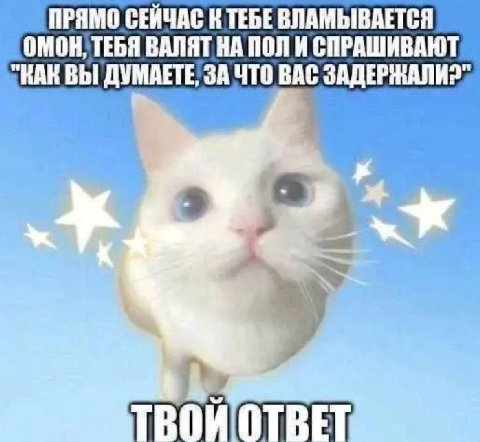 👤 Пельмешек