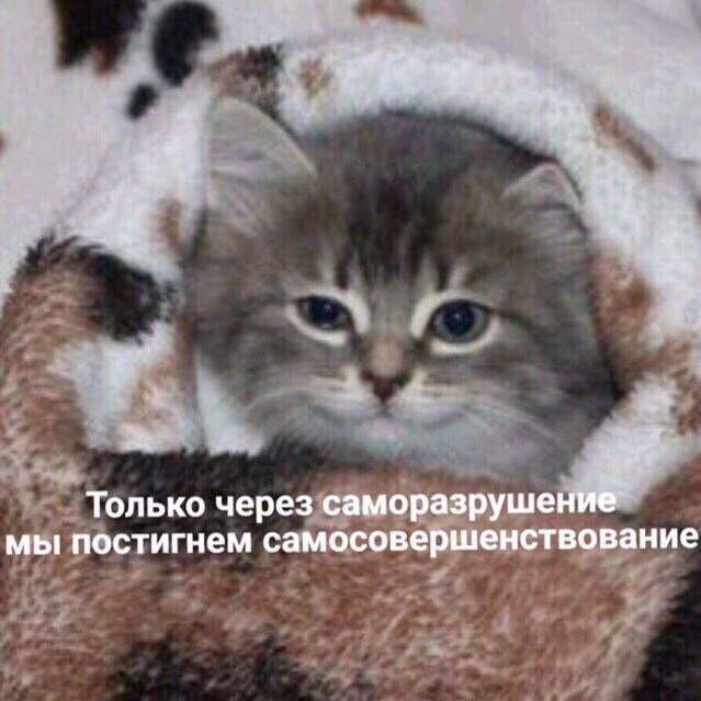 у Только через саморазрушение мы постигнем самосовершенствование