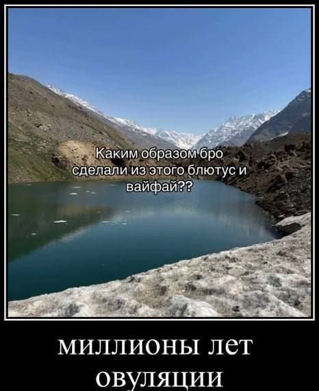 Каким сделали из этого блютус и вайфай?? миллионы лет ОВУЛЯЦИИ