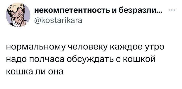 некомпетентность и безразли... @kostarikara нормальному человеку каждое утро надо полчаса обсуждать с кошкой кошка ли она