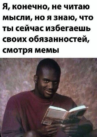 Я, конечно, не читаю мысли, но я знаю, что ты сейчас избегаешь своих обязанностей, смотря мемы