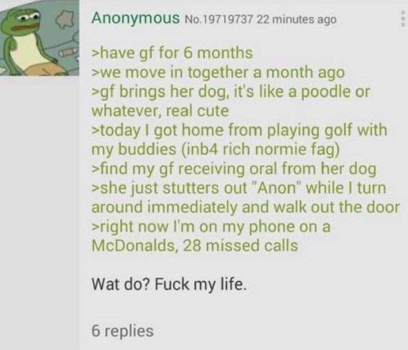 Anonymous No.19719737 22 minutes ago >have for 6 months >we move in together а month ago brings her dog, it's like a poodle or whatever, real cute >today got home from playing golf with my buddies (in