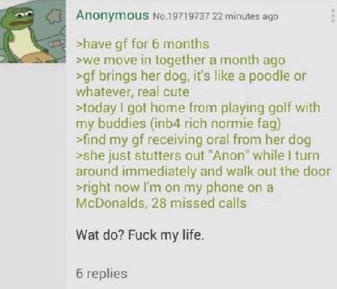 Anonymous No.19719737 22 minutes ago >have for 6 months >we move in together а month ago brings her dog, it's like a poodle or whatever, real cute >today got home from playing golf with my buddies (in