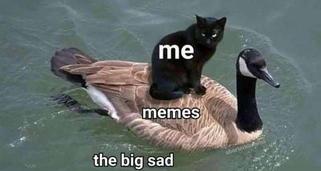 the big sad