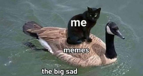 the big sad