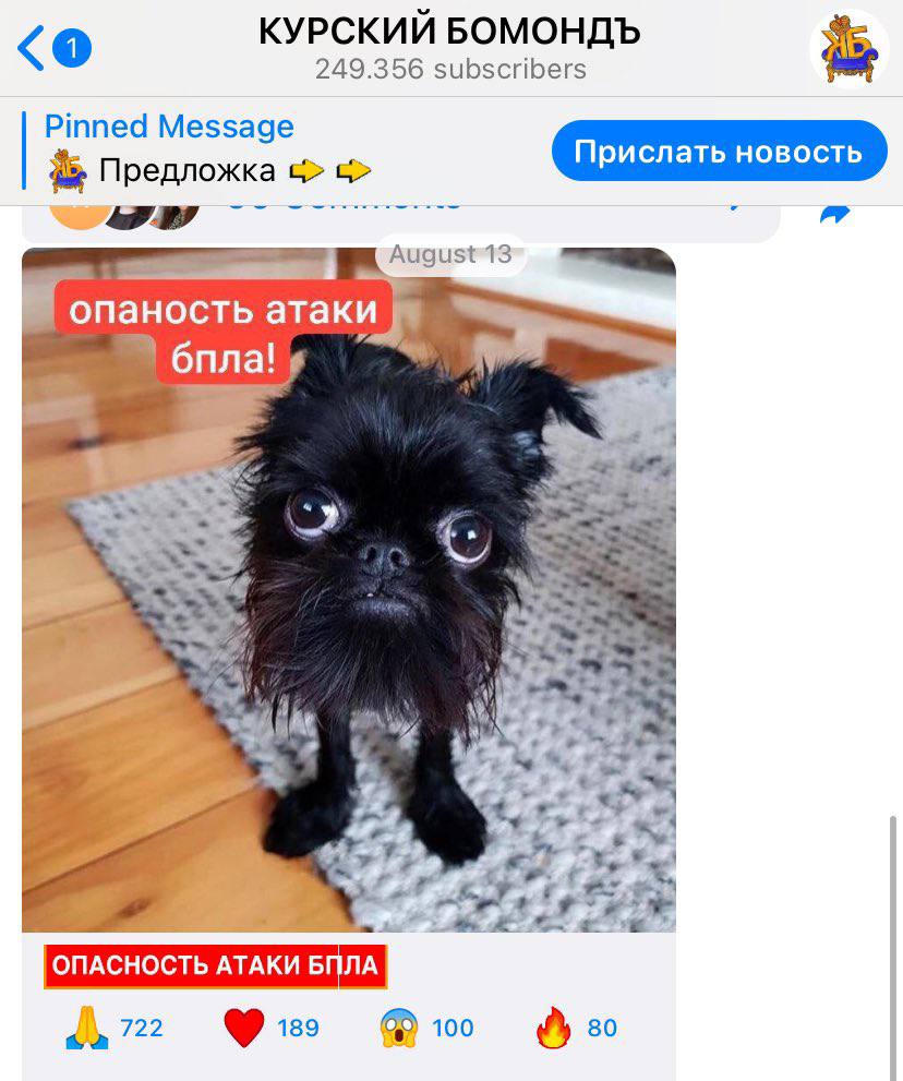 КУРСКИИ БОМОНДЪ 249.356 subscribers Pinned Message Предложка August13 опаность 6 пла: all ‚2 ОПАСНОСТЬ АТАКИ БПЛА