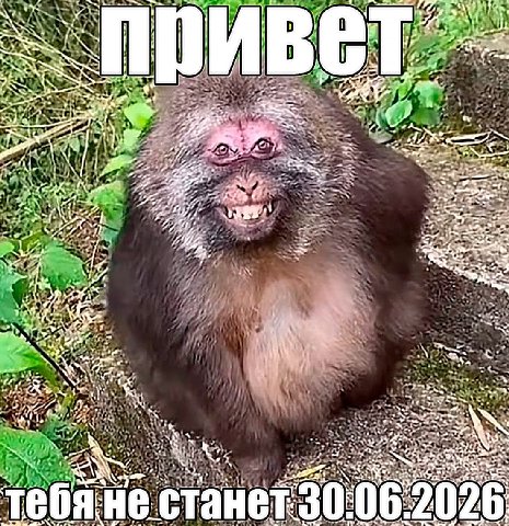 AS i 28 4 7. 5 3 у 7: A) К EAT ADS Тебя He 30.06 2026 He станет 30.06.2026 4 у