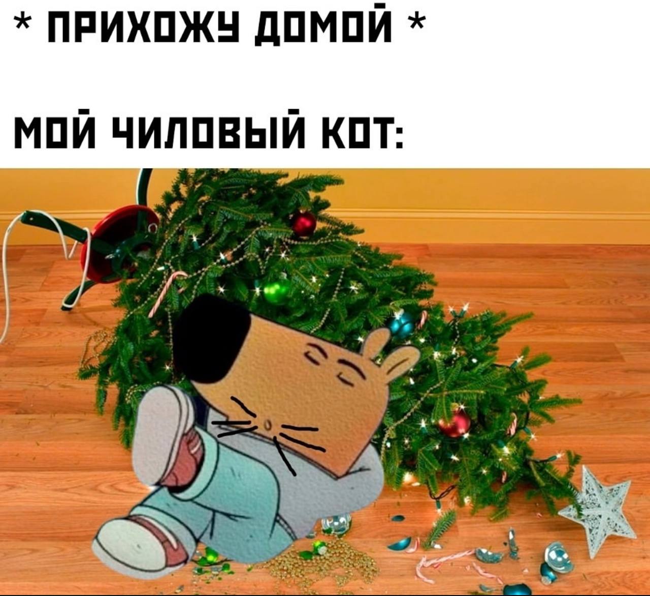 ПРИХОЖУ ДОМОЙ МОЙ ЧИЛОВЫЙ КОТ: 7