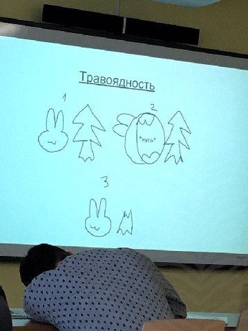 ТРавоядность SEAN