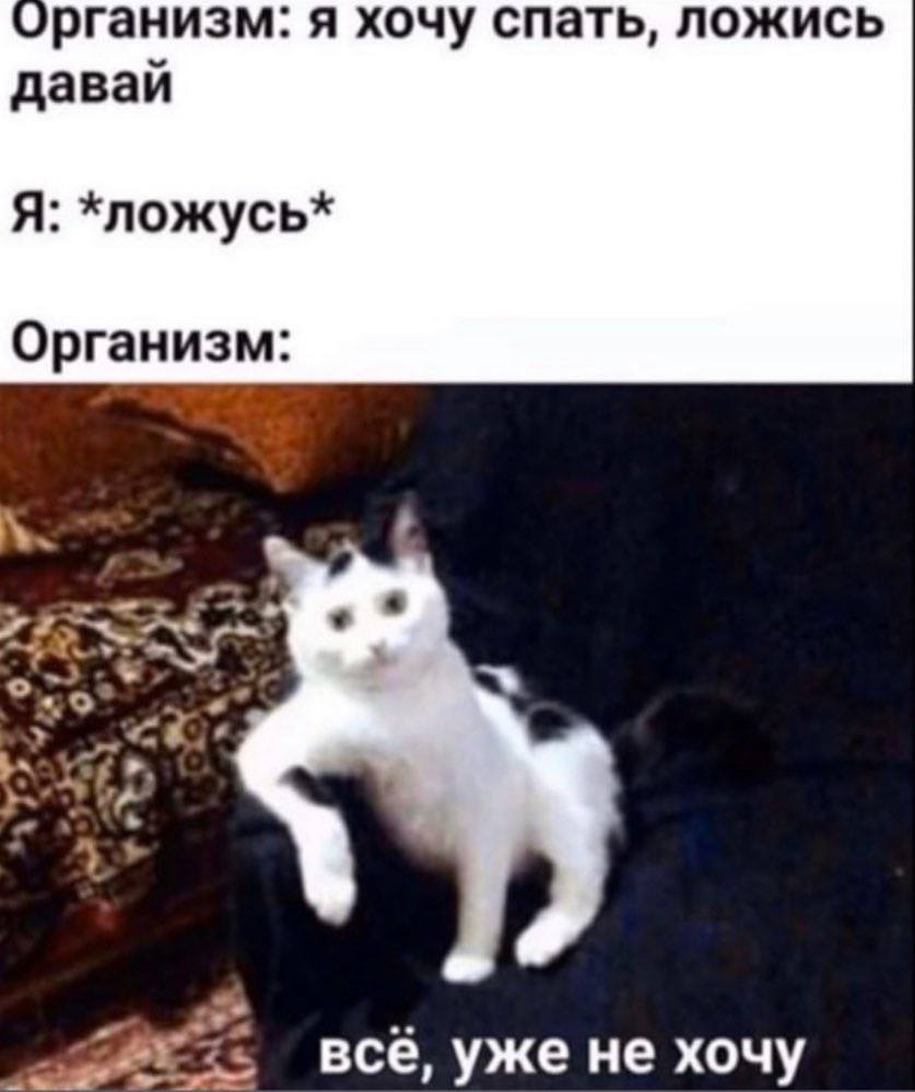 организм: я хочу спать, ложись давай Я: Организм: все, уже не хочу