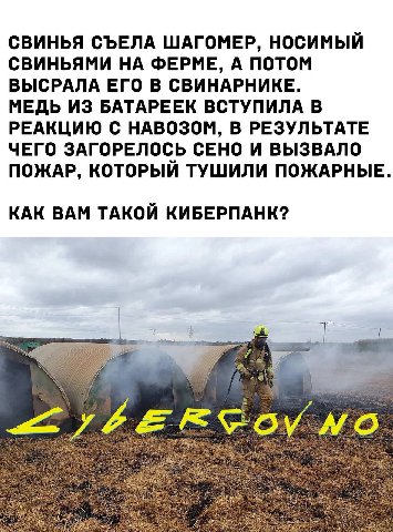СВИНЬЯ СЪЕЛА ШАГОМЕР, НОСИМЫЙ СВИНЬЯМИ НА ФЕРМЕ, А ПОТОМ ВЫСРАЛА ЕГО В СВИНАРНИКЕ. МЕДЬ ИЗ БАТАРЕЕК ВСТУПИЛА В РЕАКЦИЮ С НАВОЗОМ, В РЕЗУЛЬТАТЕ ЧЕГО ЗАГОРЕЛОСЬ СЕНО И ВЫЗВАЛО ПОЖАР, КОТОРЫЙ ТУШИЛИ ПОЖА