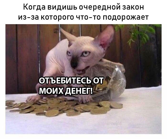 Когда видишь очередной закон из-за которого что-то подорожает МОИХ ДЕНЕК 7